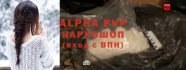 гидра Новодвинск