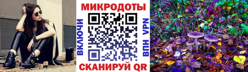 Галлюциногенные грибы Cubensis как найти наркотики Урус-Мартан